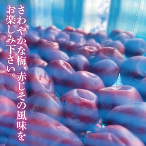 【水戸市有料観光土産品】Shamrock うずらのたまごのピクルス 梅香 3本（FE-10）