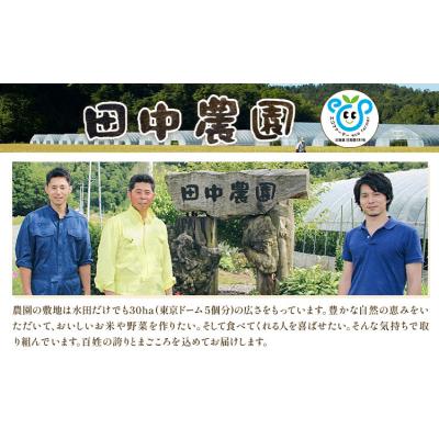 ふるさと納税 日高町 令和7年産 おぼろづき&amp;ななつぼし 各5kg 10kg 田中農園《30日以内出荷予定(土日祝除く)》