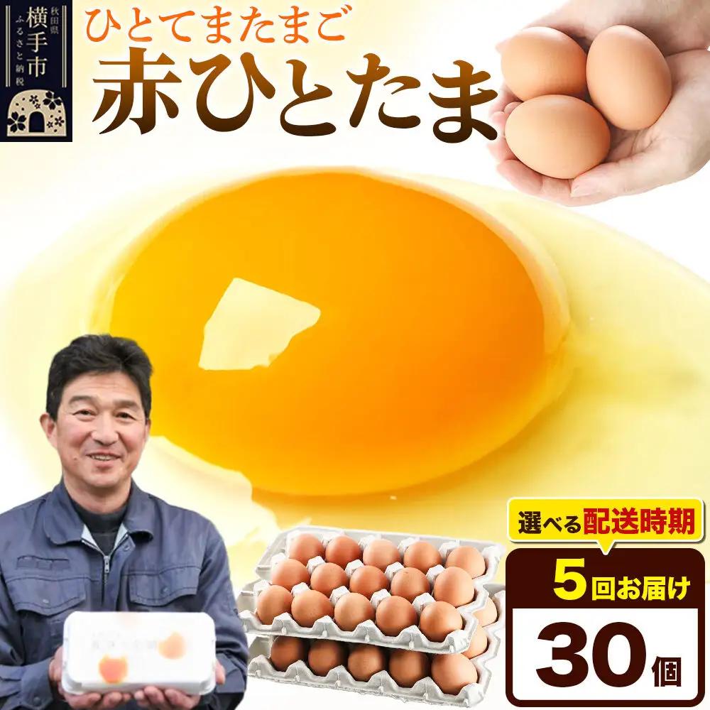 《定期便5ヶ月》赤ひとたま 30個（業務用）