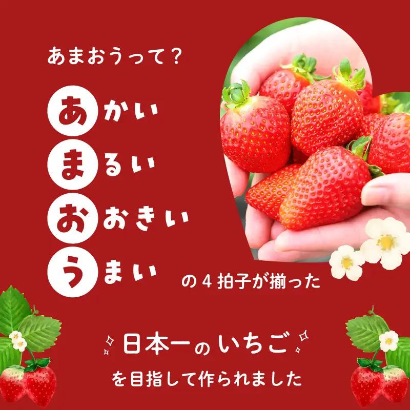 福岡県産あまおう 250g×4パック【2027年3月発送開始】＜配送不可：離島＞ あまおう いちご 苺 イチゴ 福岡県 八女市 137-001
