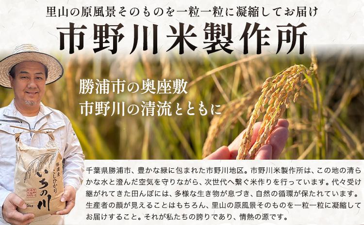 米 こめ コメ 令和7年産 いちの川 コシヒカリ 白米 5kg 市野川米製作所 《30日以内に出荷予定(土日祝除く)》米 ご飯 こしひかり