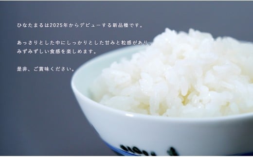 【令和7年度 新米】【無洗米】頑固米屋のこだわり米 ひな