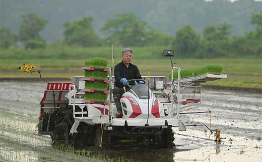 ≪2026年1月発送≫ 令和7年度 山形県戸沢村産 はえぬき 10kg(5kg×2) 精米 白米 お米 米 米米 新米 ご飯 ごはん ブランド米 銘柄米 2025年産 令和7年度産 家庭用 自宅用 贈