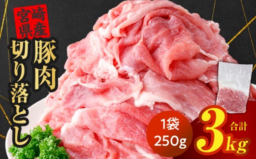 《2026年10月発送》豚肉切り落とし 250g×12パック 合計3kg_K033-024-10