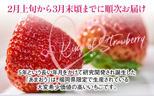 【春】あまおう 約1000g いちご 苺 果物 冷蔵 送料無料 イチゴ ※北海道・沖縄・離島は配送不可 大木町産 南国フルーツ CO003