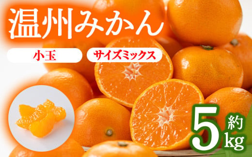 
＜先行予約！2024年10月上旬以降順次発送予定＞＜選べるサイズ＞香川県産 温州みかん(約5kg/小玉・サイズミックス) 【man078・man119】【Aglio nero】
