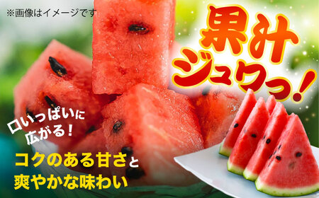 【先行予約】　【訳あり】 大玉すいか 1玉 約6kg～9kg 【株式会社 Foody’s】[AYAT007]