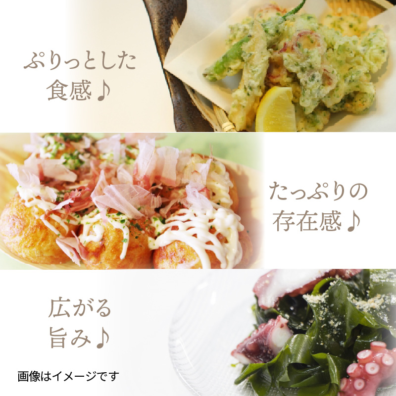 国東半島の天然地だこ 1.5kg ボイル ぶつ切り国産 ボイル タコ 真蛸 小分け 便利 使い勝手 食べやすい パスタ ピザ たこ焼き 酢の物 サラダ 唐揚げ_0013N-2