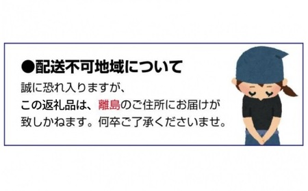 【化粧箱付き】まりひめ いちご 3L～4Lサイズ 約500g（12粒） 12月頃から順次発送 / 和歌山 果物 フルーツ 野菜 苺 冷蔵 冬 ギフト 贈答 12月 1月 2月 【tcs002】