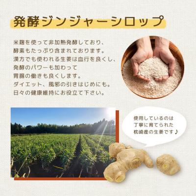 ふるさと納税 枕崎市 ジンジャーシロップ(150g×8個)【非加熱発酵】【優しい甘さの生姜シロップ】【米入り】B8-4 |  | 01