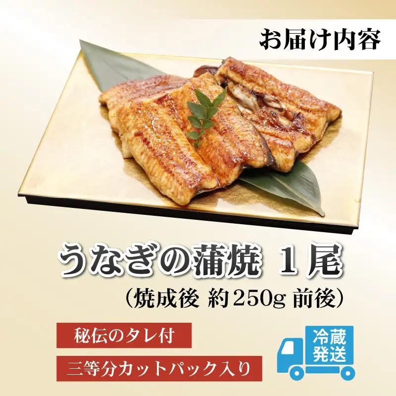 うなぎ蒲焼 国産 250g うなぎ