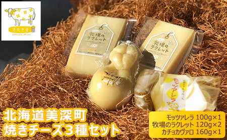 北海道美深町 焼きチーズ3種セット（モッツァレラ・ラクレット・カチョカヴァロ）【北ぎゅう舎】 加工食品 乳製品 