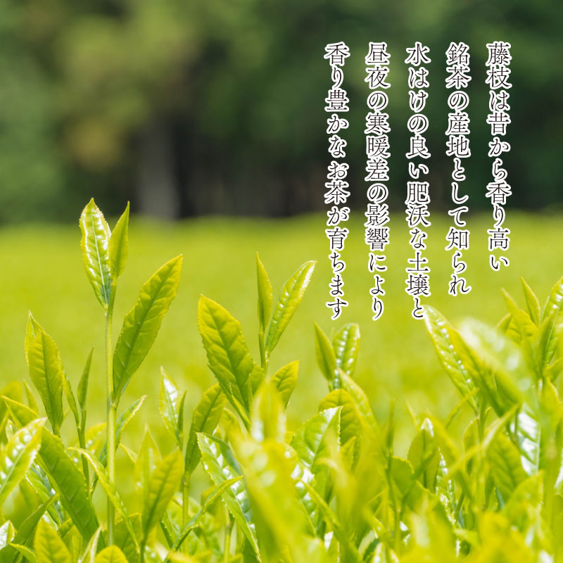 【6月中旬以降発送】 新茶 静岡玉露 80g×2袋 小分け 飲料 静岡 煎茶 お茶の葉 新茶 玉露 旬 家庭用 贈答 贈り物 ギフト プレゼント 静岡県 藤枝市