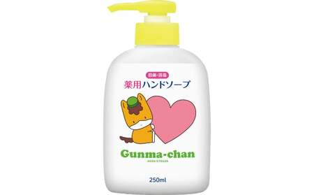 ぐんまちゃん薬用ハンドソープ本体(250ml)×24個入り