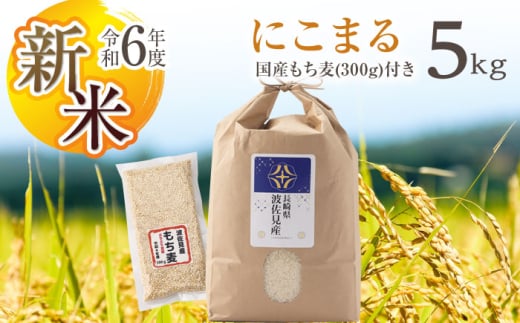 【令和6年度新米】にこまる 白米 5kg もち麦 300g 波佐見町産 セット【冨永米穀店】 [ZF02]