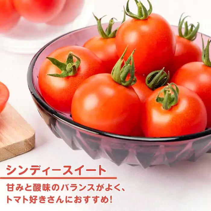 ミディアムトマト 3kg（1.5kg×2箱）《壱岐市》【ISLAND FARM】[JFL002]