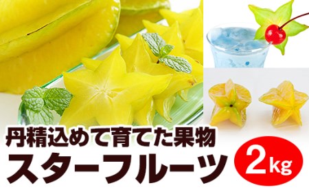 【2026年1月から順次発送】丹精込めて育てた果物　スターフルーツ　2kg