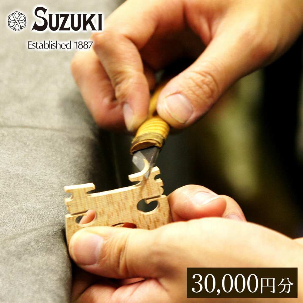 【ふるさと納税】バイオリン修理・メンテナンス 利用チケット30,000円分 (店舗受付用) ヴァイオリン 手入れ 修理・メンテナンス調整 利用券 商品券 割引券 | 楽器 バイオリン 修理 手入れ お手入れ 整備　メンテナイス 人気 おすすめ 送料無料