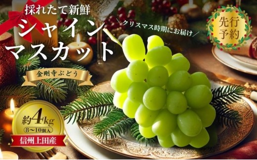 
                  【2026年先行予約】クリスマスにお届け！ シャインマスカット 信州上田産金剛寺ぶどう 約4kg 8～10房 ぶどう 葡萄 ブドウ マスカット 1kg 果物 くだもの フルーツ デザート 旬の果物 旬のフルーツ 長野県 長野
                