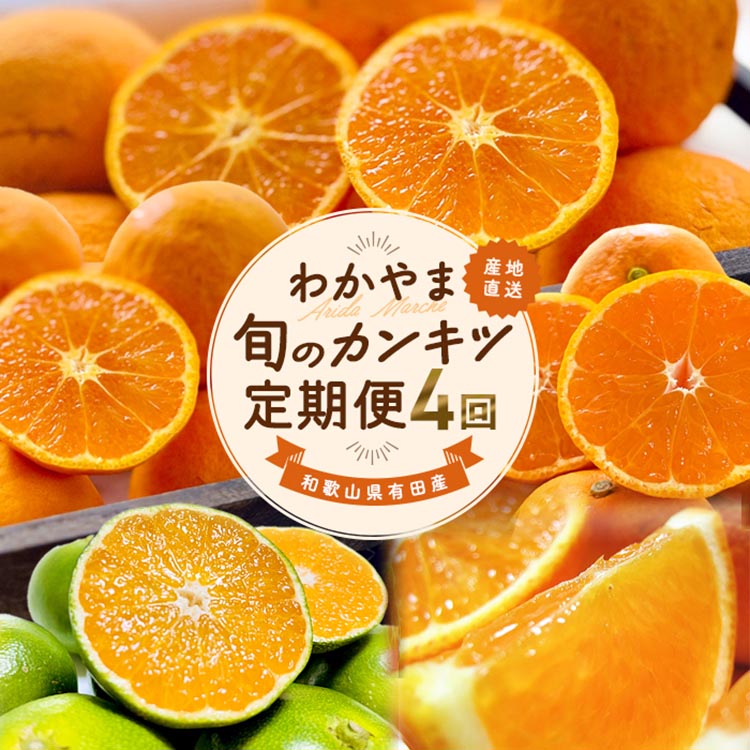 【定期便】〈3・5・9・11月 全4回〉わかやま旬のカンキツ【S】（春の柑橘 ・初夏の柑橘・青切りみかん・完熟みかん）◆ ※北海道・沖縄・離島への配送不可