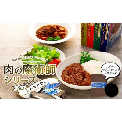 ふるさと納税 横浜市 肉の魔術師シリーズ　レトルトセット【2種2パック入り】ハンガリー式シチュー&amp;ビーフストロガノフ