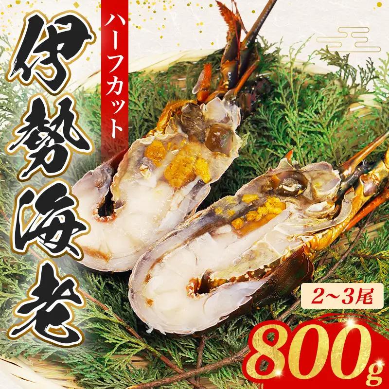 【伊勢海老】 伊勢海老 800g ハーフカット 