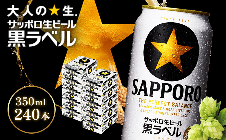 サッポロ黒ラベル350ml×240本（10箱） | サッポロ黒ラベル 黒ラベル サッポロ サッポロビール ビール 生ビール お酒 アルコール 北海道醸造 麦芽 うまみ 後味 爽やか 泡 鮮度 お取り寄せ 北海道 恵庭市 恵庭【930040120】