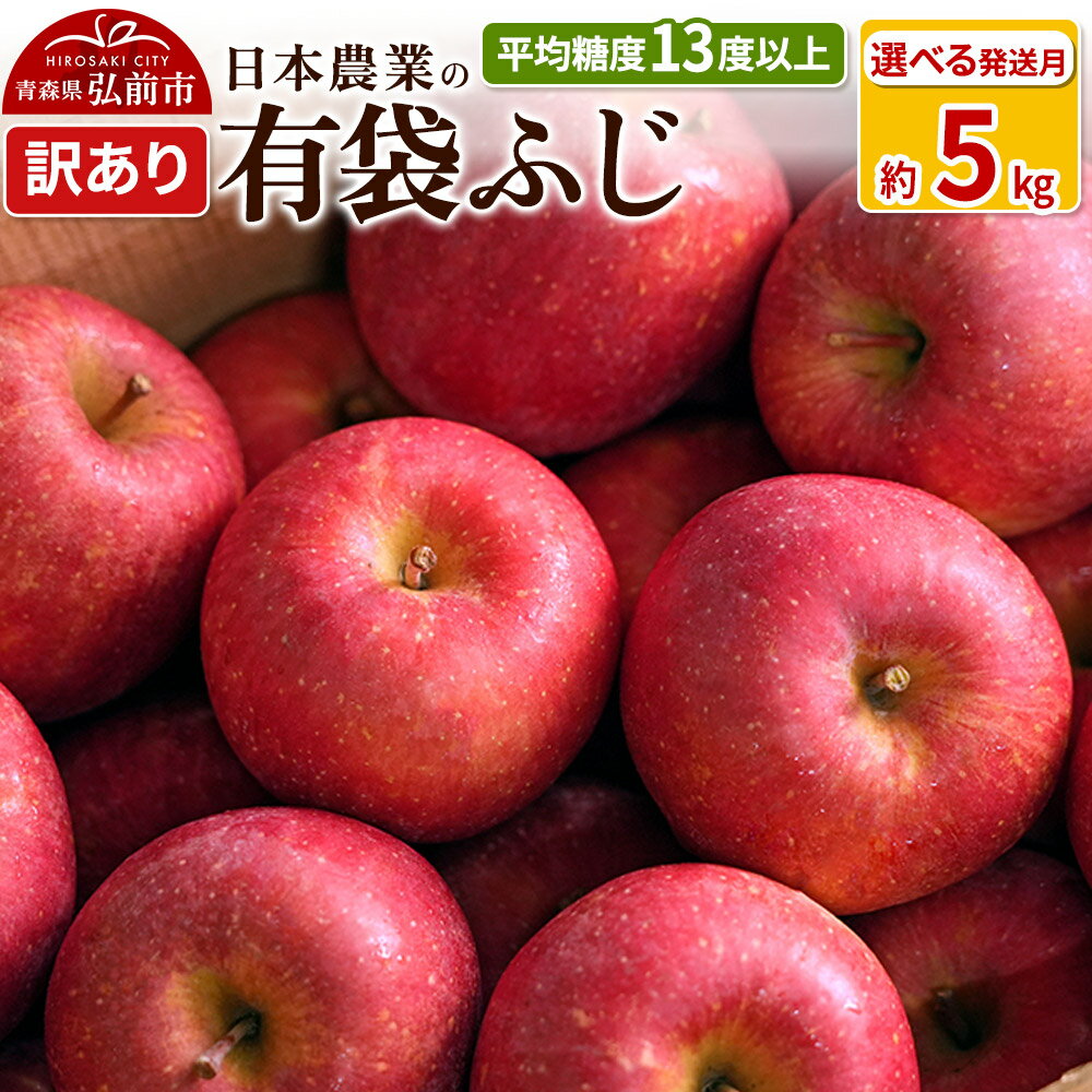 【ふるさと納税】りんご 【先行受付】平均糖度13度以上！ 有袋ふじ 約5kg 訳あり【選べる発送月】 CA貯蔵