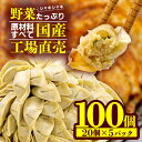 【ふるさと納税】 餃子 野菜 100個 20個 5パック ジューシー 冷凍 個分け 松福 国産 豚肉 おつまみ