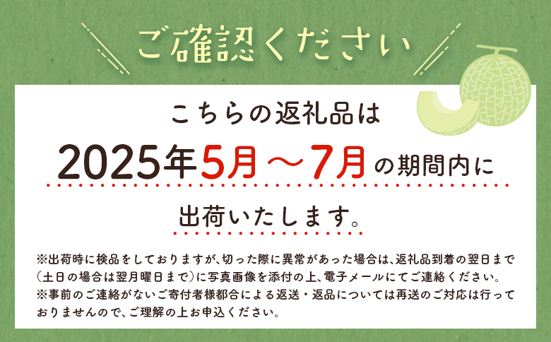 ＜数量限定＞しんとみアールスメロン 2L2玉 計3kg以上 先行予約 国産 フルーツ 果物 宮崎県産 ※2025年5月～7月の期間内に出荷【B520-02】