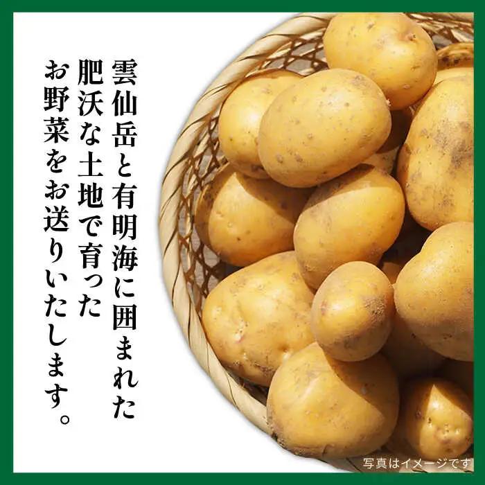 【6回定期便】野菜定期便 10品目以上 野菜定期便 / ミナサポ  [SCW046]