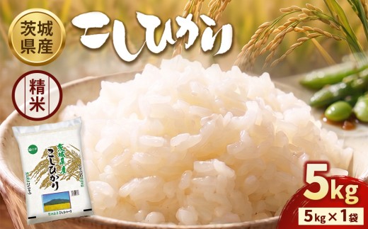 【令和7年産】茨城コシヒカリ 5㎏×1袋【精米】 | お米 米 こしひかり 茨城県産 白米 ブランド米 小分け