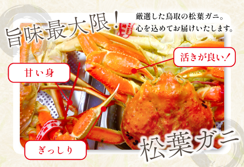 【蒸し】タグ付き松葉ガニ　大　２枚