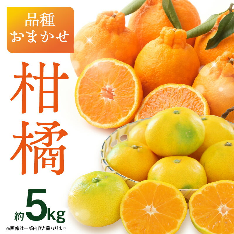 【ふるさと納税】品種おまかせ！柑橘（5kg） ミカン みかん デコポン 柑橘 おまかせ 5キロ 旬 フルーツ 果物 福岡県 八女市