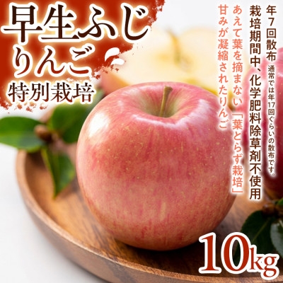 
                  ＜みずみずしい甘さと軽やかな食感＞早生ふじ 10kg 1セット【1780233】
                