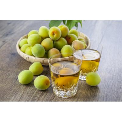 ふるさと納税 由良町 2026/6月より発送【梅干し・梅酒用】紀州和歌山の熟南高梅(2LまたはL-2kg) |  | 01