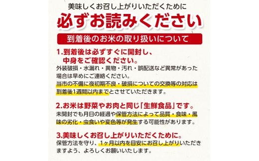 【令和8年12月7日～13日発送】【令和8年産 新米】 工藤さんの特別栽培米 雪若丸 無洗米 10kg（5kg×2袋） 山形県鶴岡市産 株式会社サンエイファーム　| 米 特栽 国産 米どころ 庄内米 