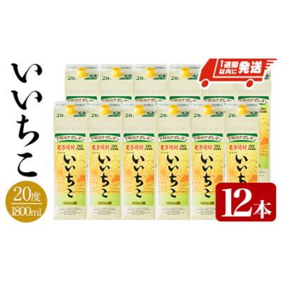 ふるさと納税 宇佐市  いいちこ 20度 パック(1.8L×12本)【107304900】【時枝酒店】