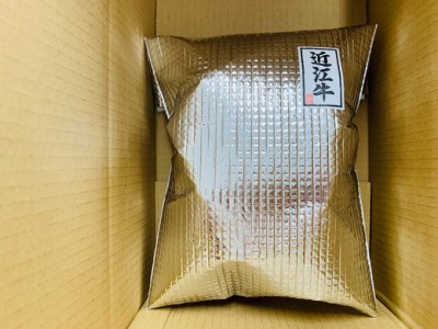 近江牛 コクとろ！デミグラスすじ煮込み【750g（150ｇ×5パック）】【AB68SM1】