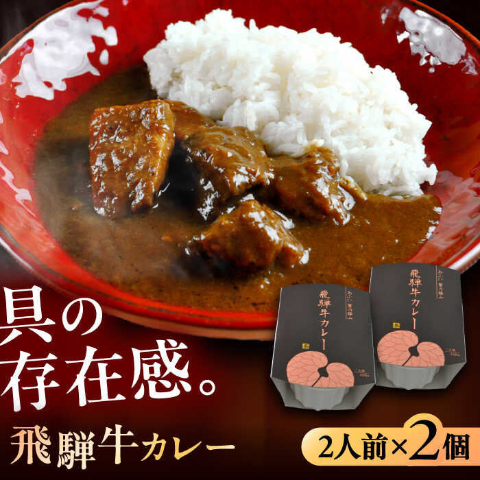 【ふるさと納税】-あふひ 贅の極み- 飛騨牛カレー 2人前×2個セット / レトルトカレー ご当地カレー 常温保存 時短 / 恵那市 / テンポイント[AUEU001]