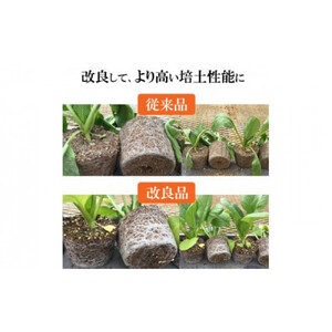 【播種・移植用培養土】種まき培土30L×4袋セット
