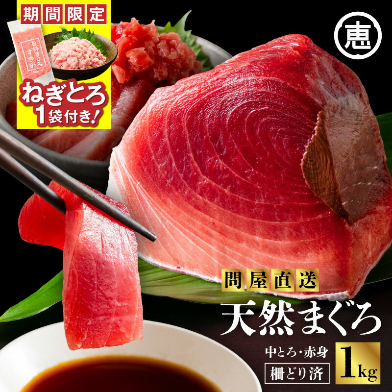 【ふるさと納税】【期間限定 ねぎとろ付き】 とにかくまぐろの質に自信あり 問屋直送 天然三崎まぐろ 1kg 中トロ 赤身 マグロ 鮪 メバチマグロ 赤身 刺身 魚 魚介 冷凍 おいしい 天然 数量限定 三崎恵水産 神奈川県 三浦市 おすすめ ランキング プレゼント ギフト