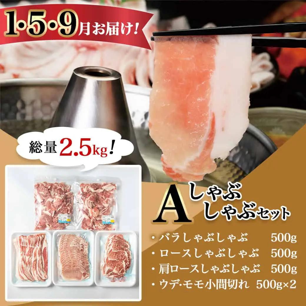 「きなこ豚」バラエティ定期便(10ヶ月)〔T120（10）-1202〕_(都城市) 宮崎県産豚肉 都城産きなこ豚 豚バラ ロース 肩ロース ウデ・モモ ミンチ ハンバーグ 小間切れ しゃぶしゃぶ とん