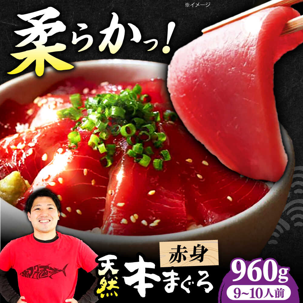 【ふるさと納税】極上！たね熟天然本まぐろ赤身(960g) 天然 マグロ 鮪 赤身 刺身 魚 魚介 大阪府高槻市/本まぐろ直売所[AOCE006]