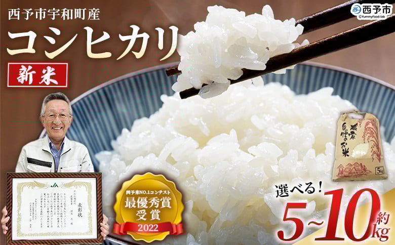 
            ＜新米 令和7年産 西予市宇和町産 コシヒカリ 約5kg/10kg＞ お米 コメ こめ 白米 精米 ご飯 穀物 こしひかり 西予米NO.1コンテスト 最優秀賞 受賞 特産品 愛媛県産 西予市産 宇和町産 時谷ファーム 愛媛県 西予市 【常温】
          