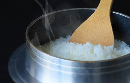 【コシヒカリ】令和7年産 白米30kg【5営業日以内に発送】