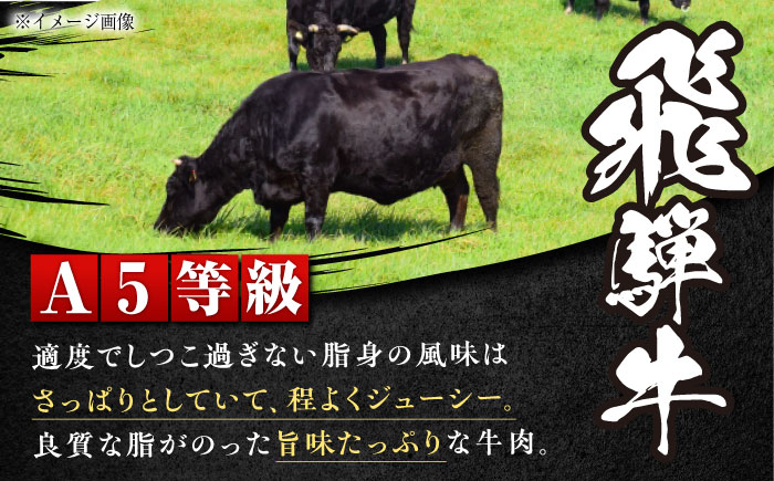 【チルド（冷蔵）発送！】 「飛騨牛」 A5等級 ヒレステーキ 150g×4枚 / 牛肉 焼肉 鉄板焼き 網焼き BBQ/ 恵那市 / 東美濃農業協同組合 [AUFX018] 4枚