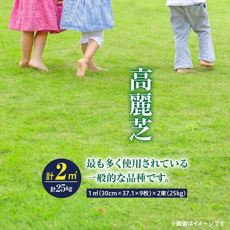 【10月から5月に発送】 高麗芝（2平方メートル） KN177-003-01 庭 芝生