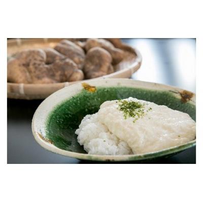 ふるさと納税 山口市 徳地やまのいも1kg袋(ご家庭用)×3袋 D121 |  | 02