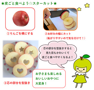 【2026年4月中旬発送】特選りんご5kg 春の丸かじりサンふじ スマートフレッシュ™又はCA貯蔵